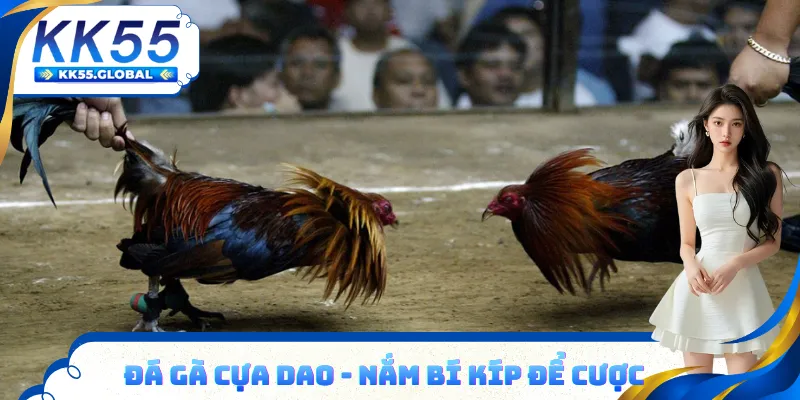 Đá gà cựa dao hướng dẫn cách chơi từ cao thủ